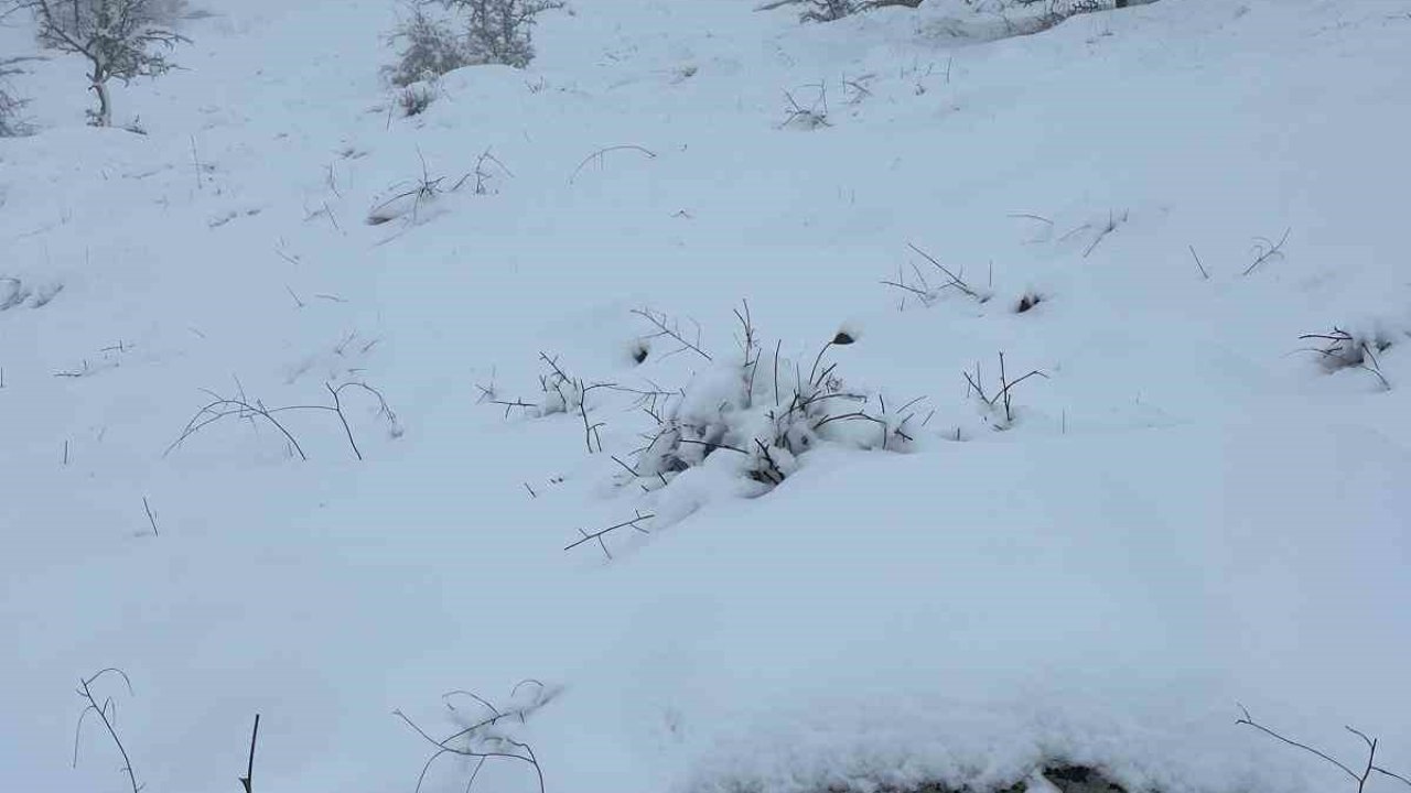 Mart sonunda Karıncalı Dağ’da kar sürprizi
