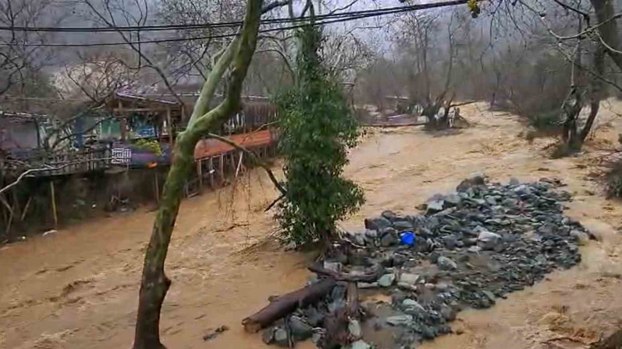 Yalova’da sağanak yağışta dereler taştı, 5 büyükbaş hayvan telef oldu