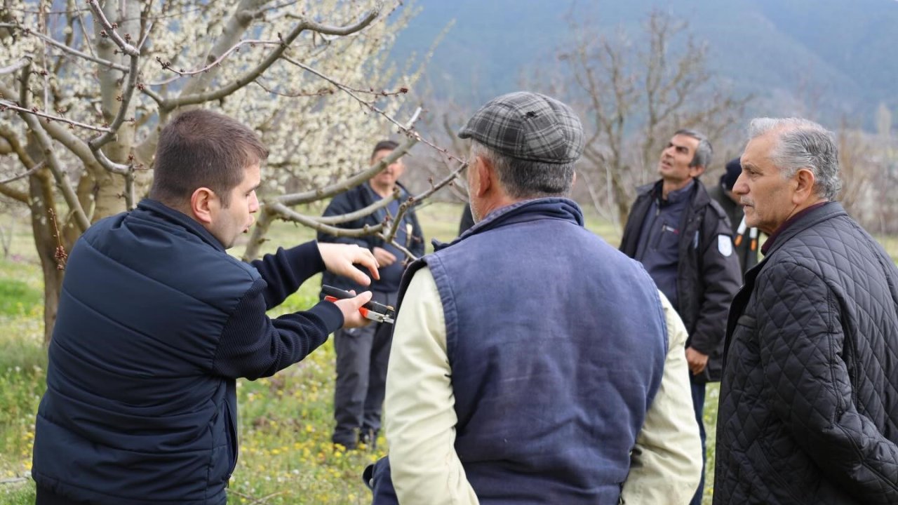 Bilecik’te üreticilere gübreleme ve budama kursu