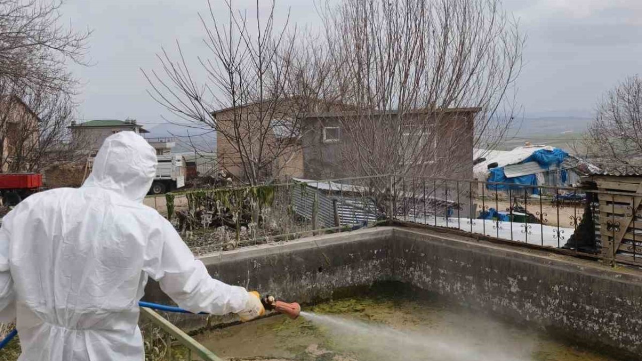 Elazığ’da larva ilaçlama çalışmaları başladı