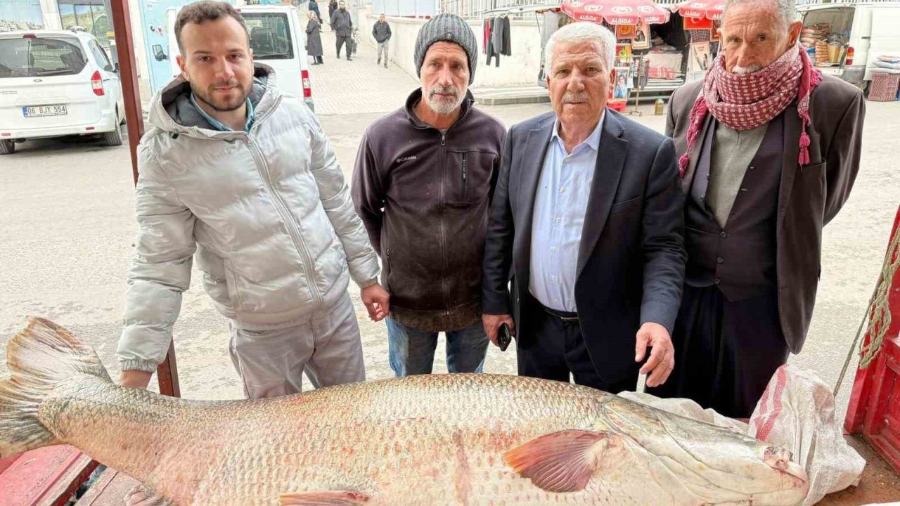 Diyarbakır’da 120 kiloluk turna balığı görenleri hayrete düşürdü