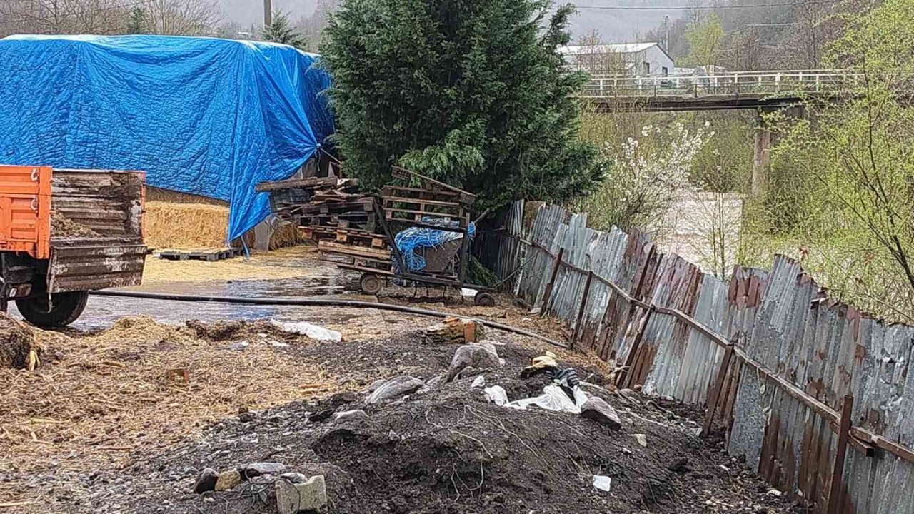 Dereye hayvansal atık bırakan çiftlikler yakalandı