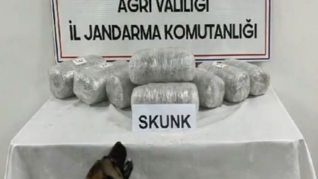 Ağrı’da 10 kilogram skunk ele geçirildi, 1 şüpheli tutuklandı