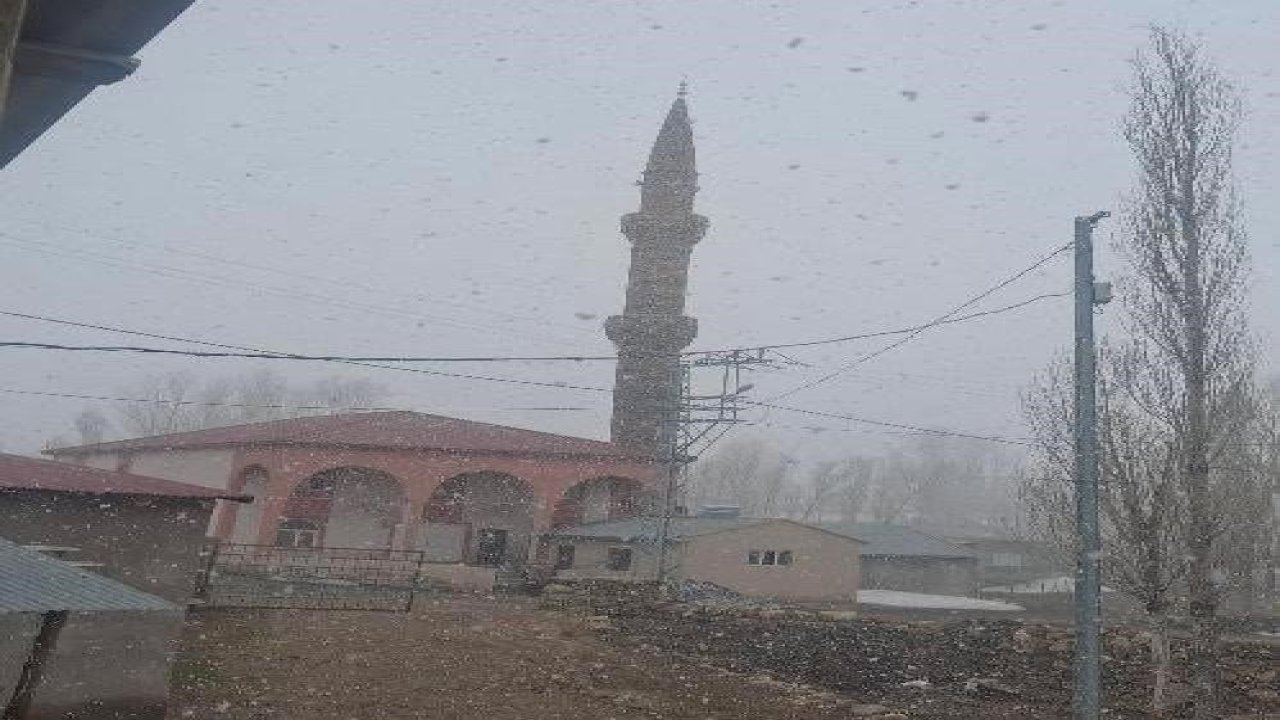 Diyadin’de nisan karı