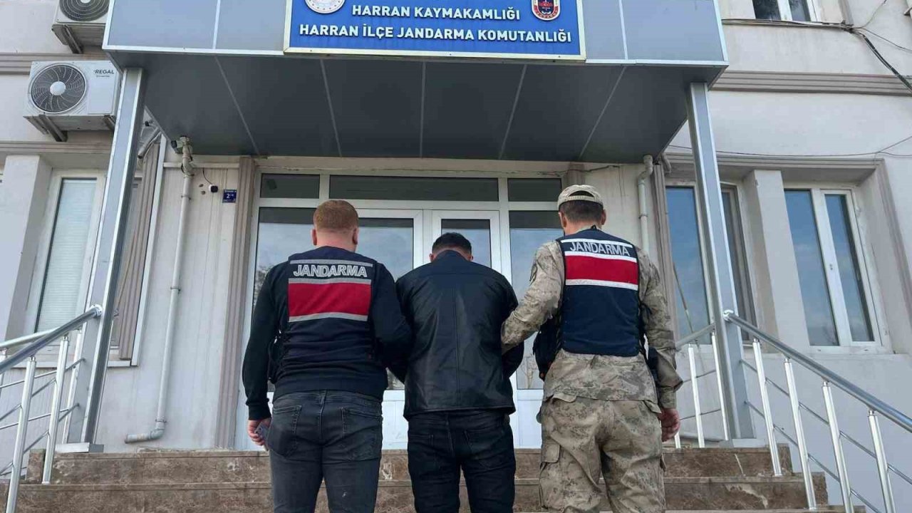 Şanlıurfa’da 13 yıl hapis cezası bulunan hükümlü yakalandı