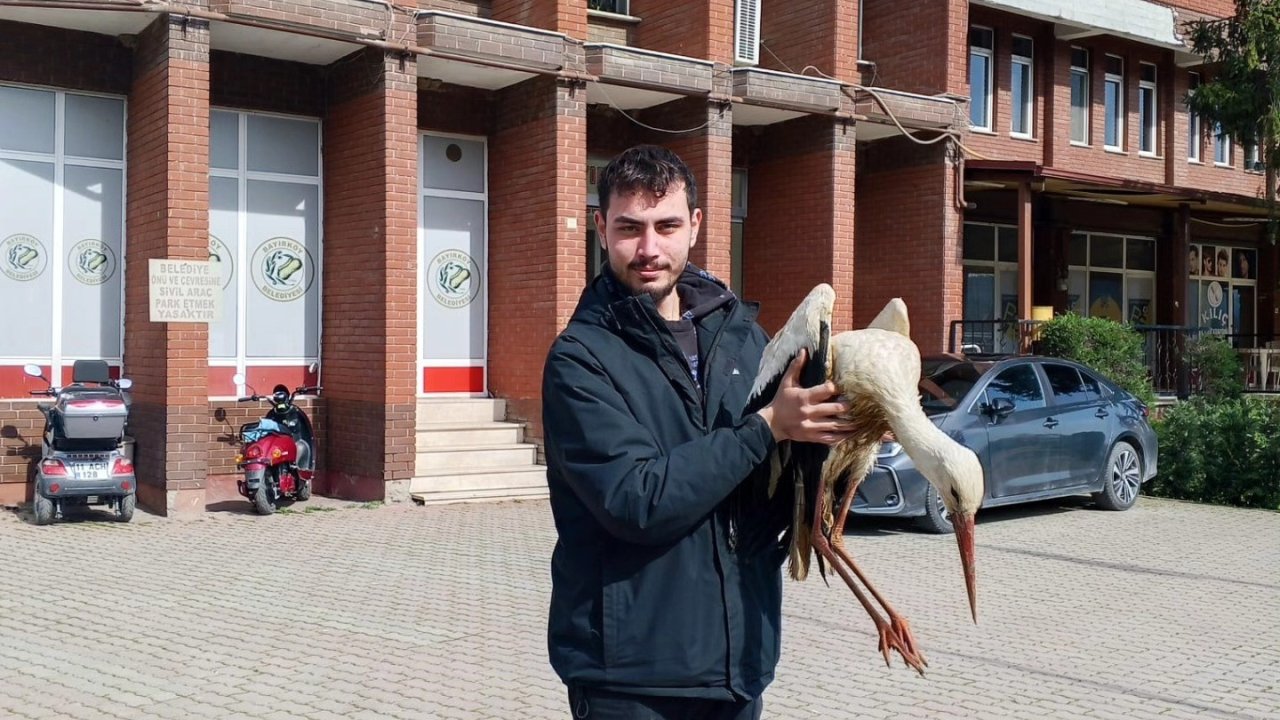 Bilecik’te yaralı leylek koruma altına alındı