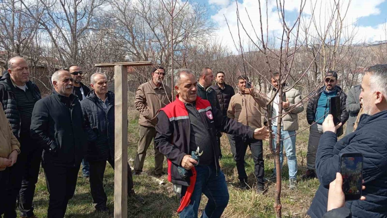 Erzincan’da çiftçilere budama eğitimi verildi