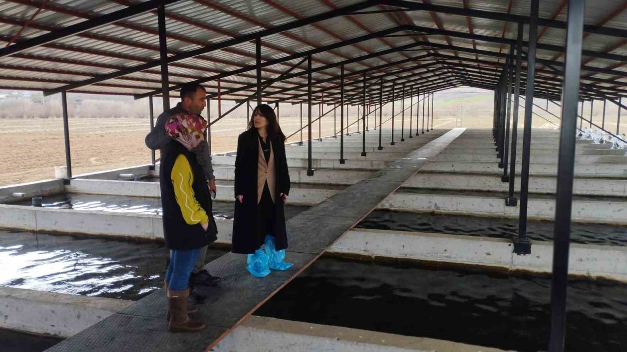 Tercan’da alabalık üretim tesisine denetim