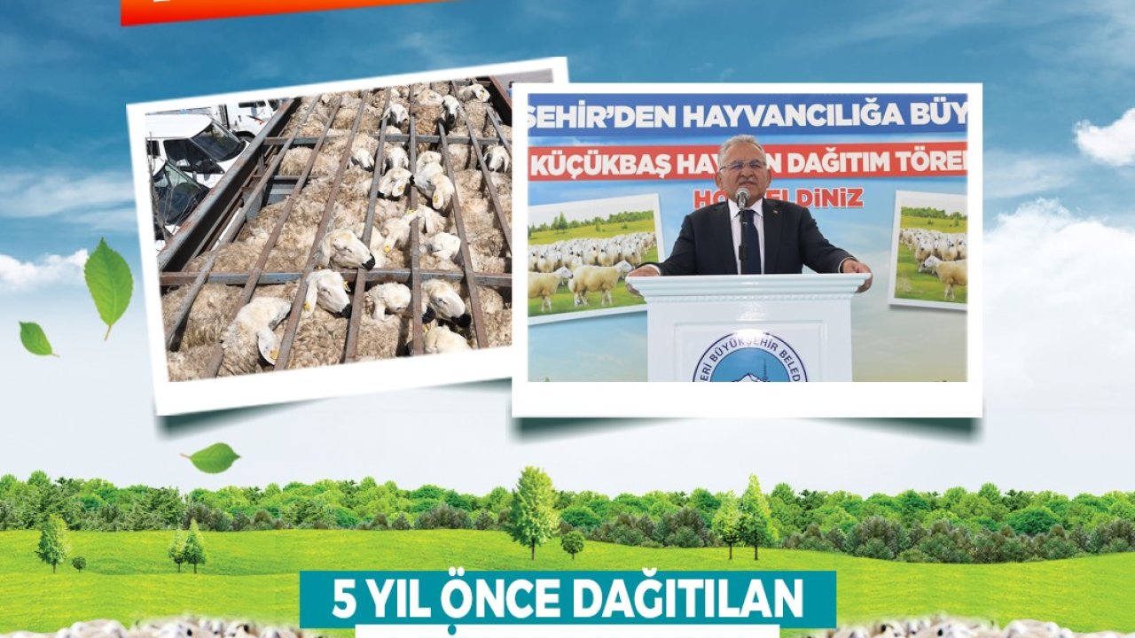 Başkan Büyükkılıç’tan kırsala, kendi kendini büyüten model: 150 bin küçükbaş artışı