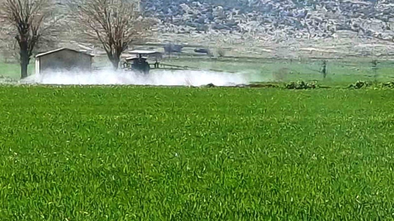 Araban’da sarı pas hastalığını önlemek amaçlı ilaçlı mücadele başlatıldı