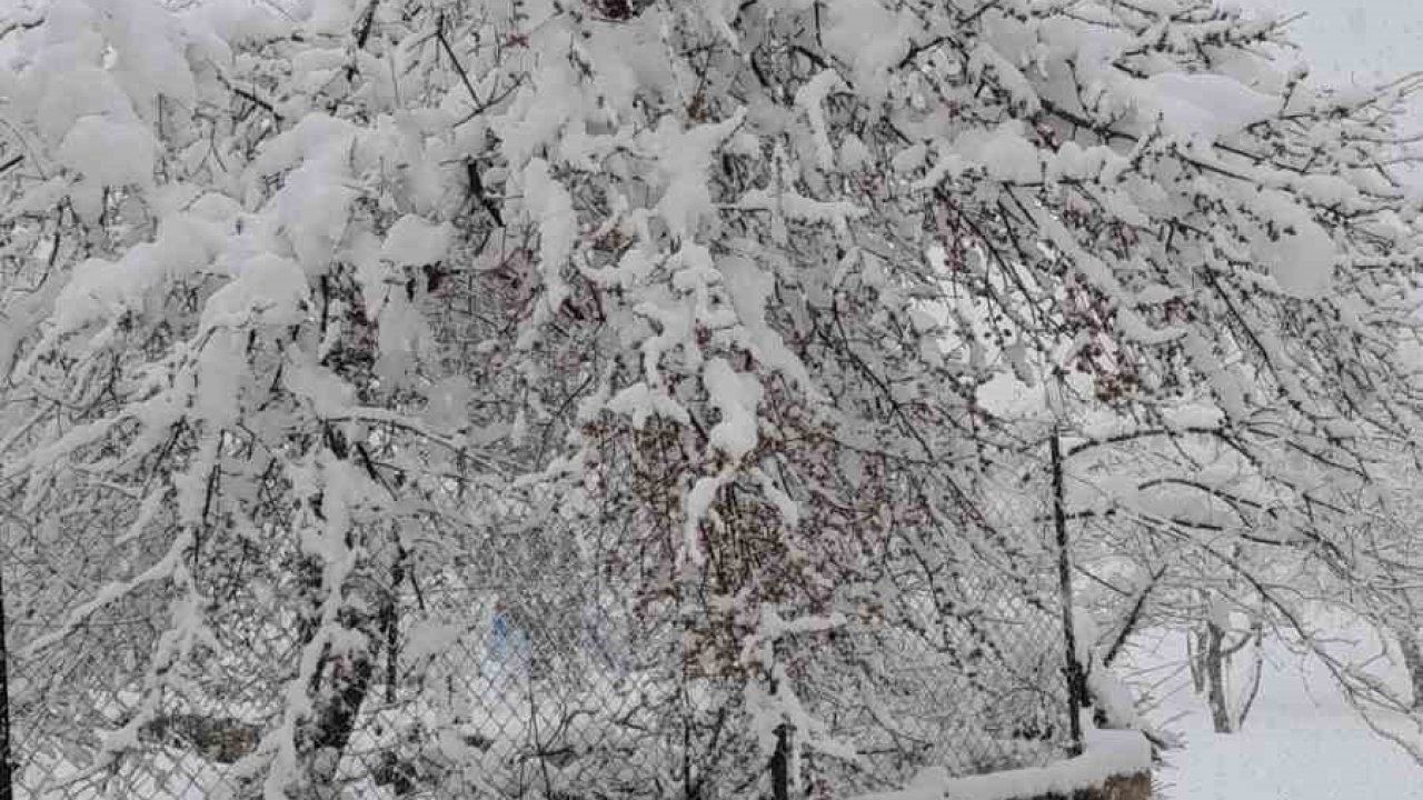 Denizli’nin yüksek kesimleri baharda beyaza büründü
