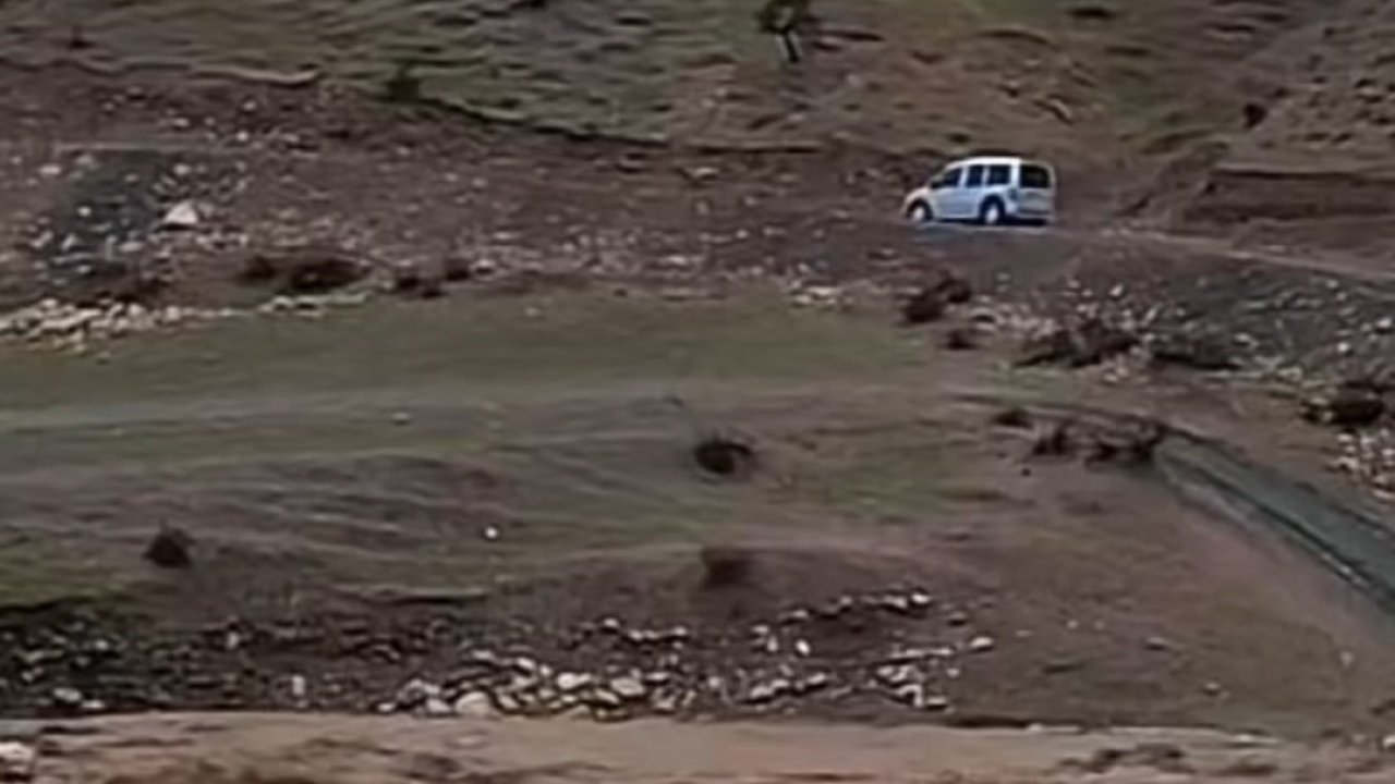 Siirt’te sağanak yağış hayvancılığı olumsuz etkiledi