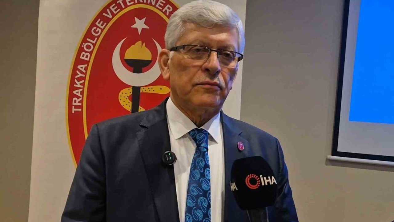 Tekirdağ’dan kritik çağrı: "Belediyelerde veteriner hekim açığı giderilmeli"