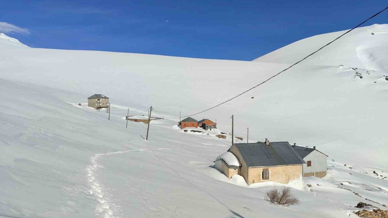 Bayburt’ta ayı saldırılarının yaşandığı yaylada ulaşım sorunu sürüyor