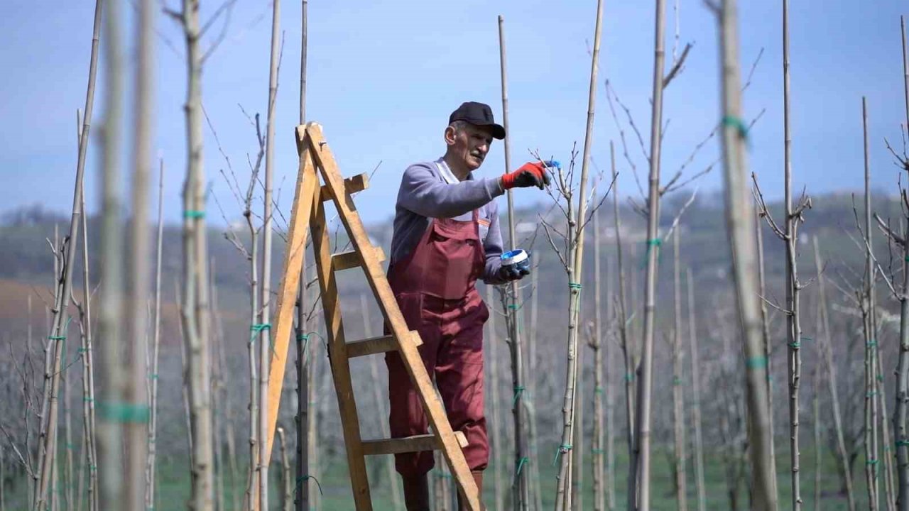 Kestel’de bahar mesaisi