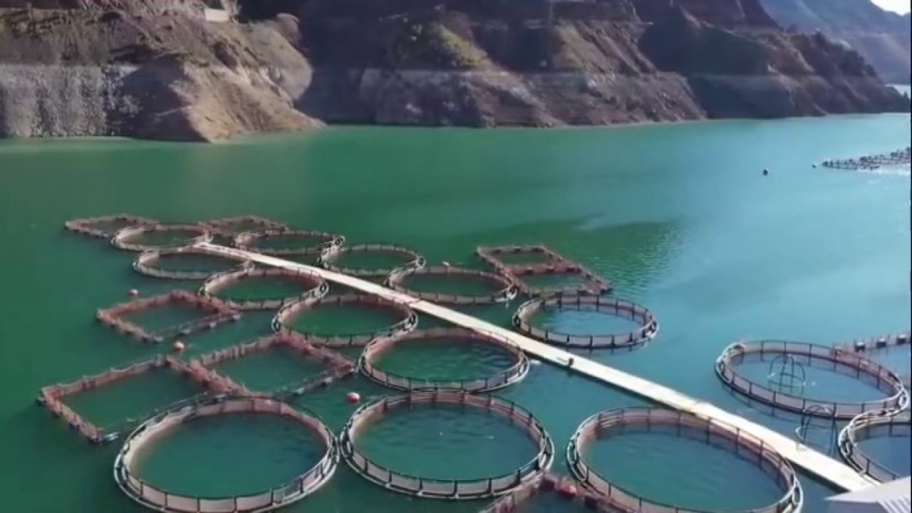 Erzurum’da 3,38 milyar destekle 5 bin 226 kişilik istihdam oluştu