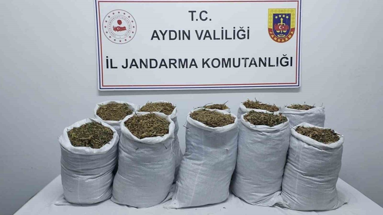 Kuşadası’nda uyuşturucu operasyonu: 2 gözaltı