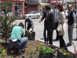 Kars Çicek Açtı