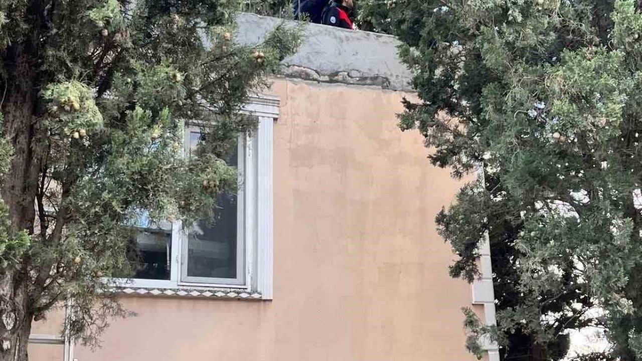 Defne’de ağaçta mahsur kalan kediyi itfaiye kurtardı