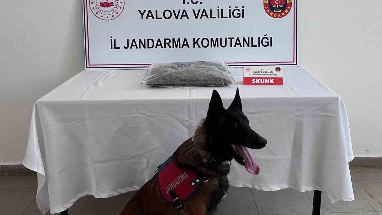 Yalova’da uyuşturucu operasyonunda 1 tutuklama