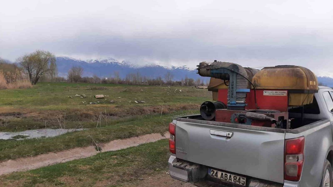 Erzincan’da larva ile mücadele çalışmaları başladı