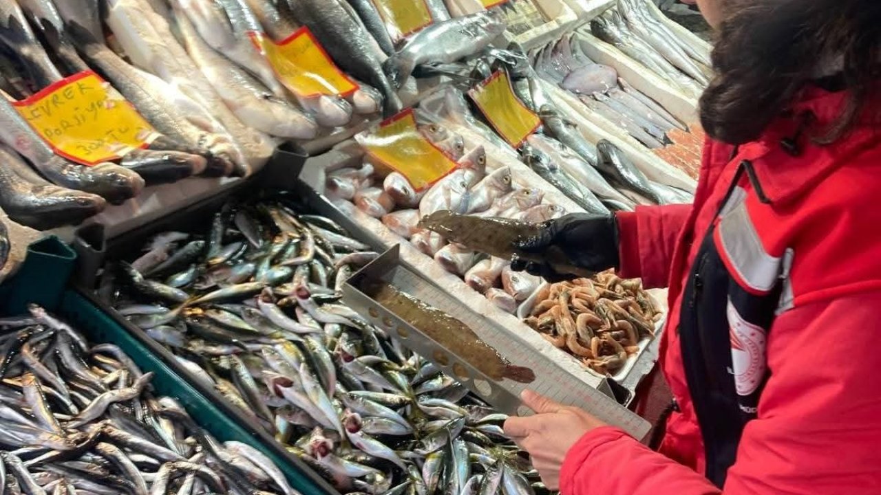 Tekirdağ’da su ürünleri denetimi