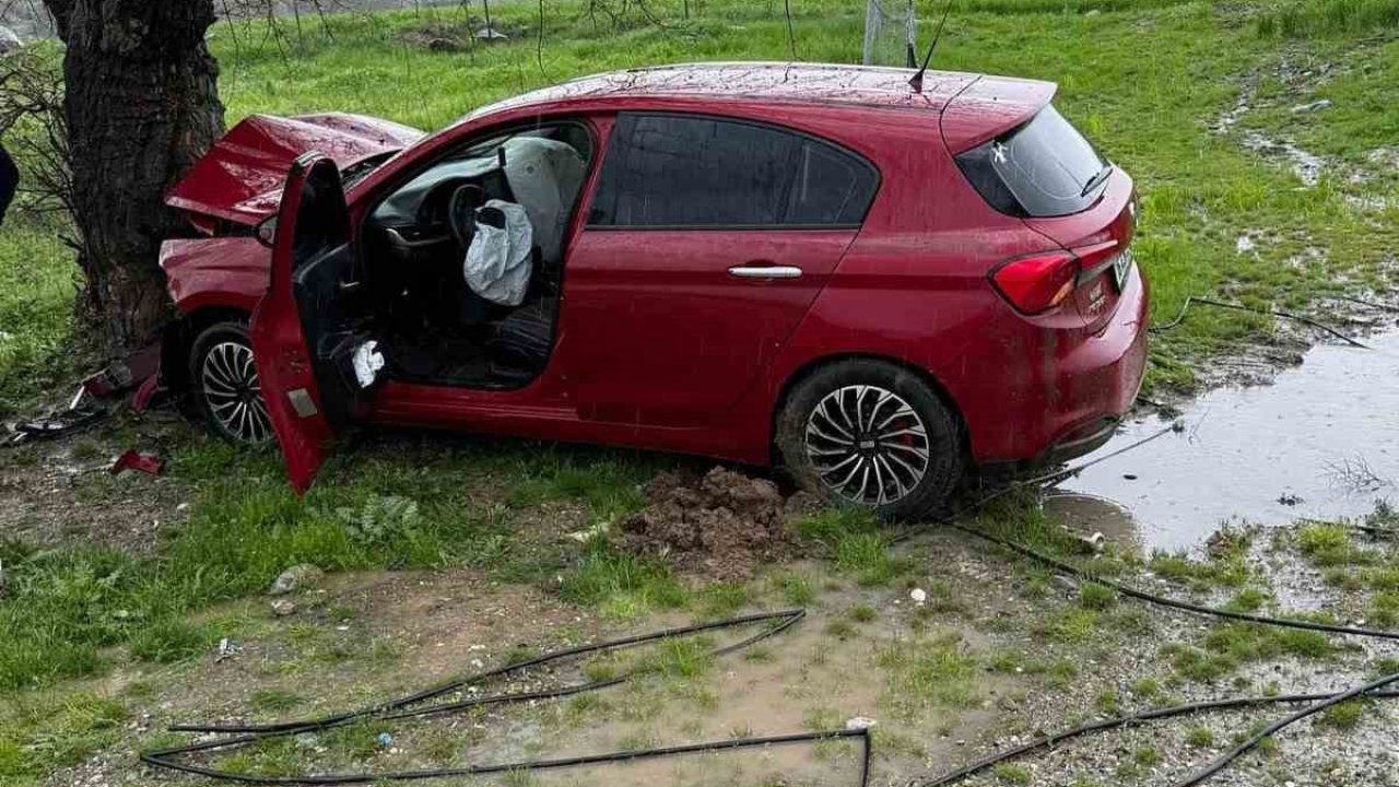 Siirt’te ağaca çarpan otomobilin sürücüsü yaralandı