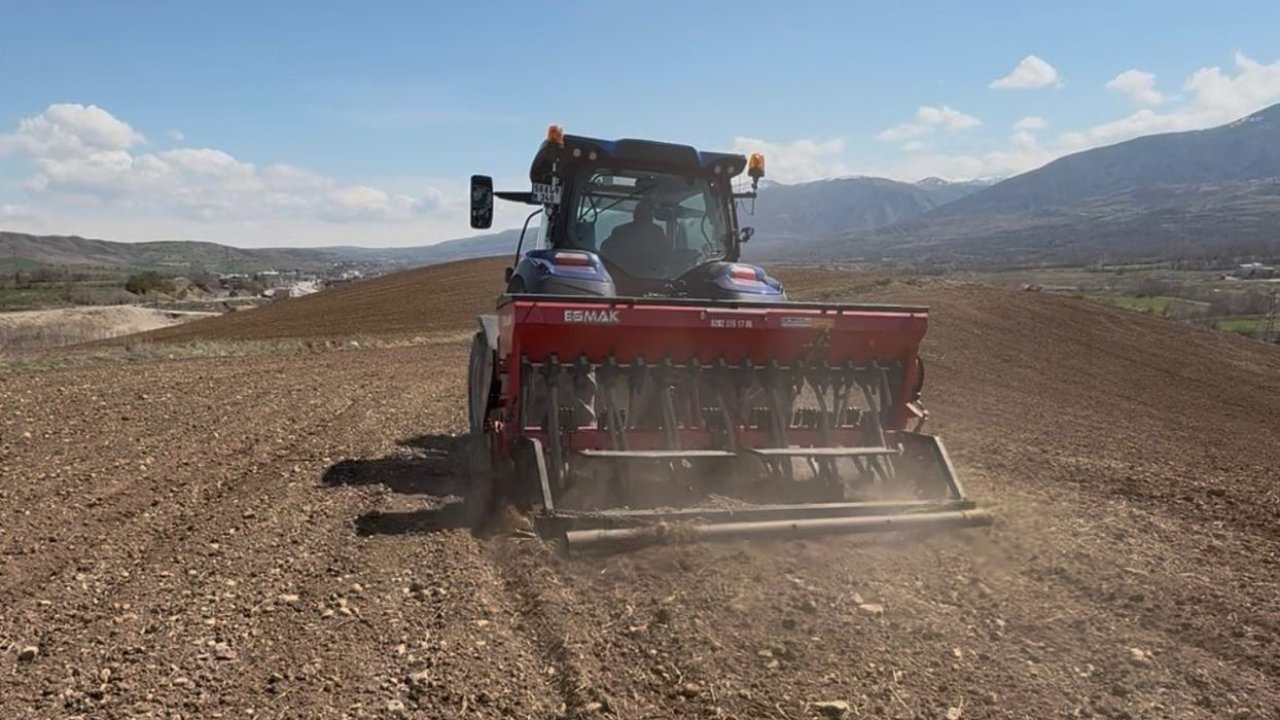 Akıncılar Belediyesi, nohut tohumlarını toprakla buluşturdu