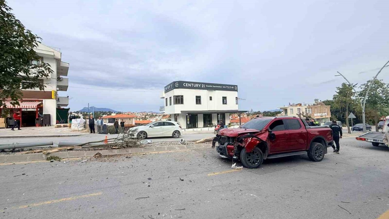 Direksiyon hakimiyetini kaybetti, 2 ağaç ve elektrik direğini yerinden söktü