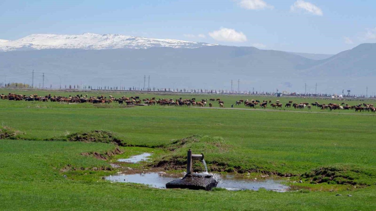 Tarımda önder üretici modeli vurgusu