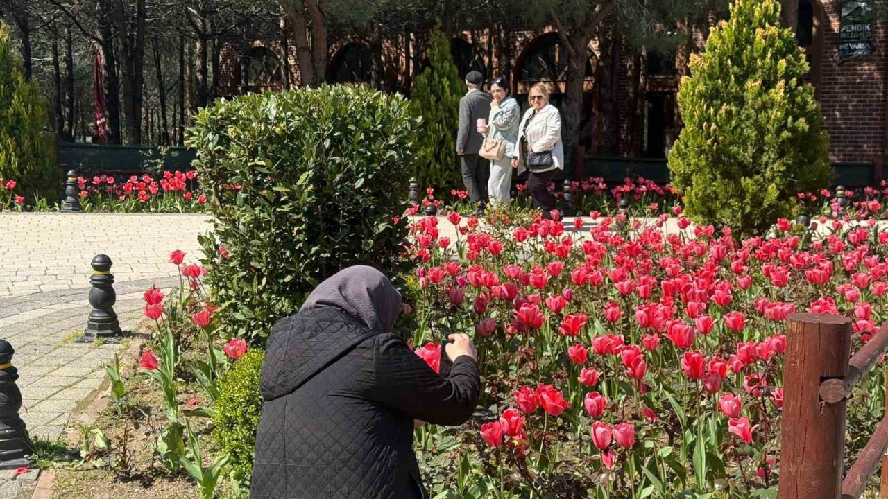 İstanbul’da lale zamanı başladı, Pendik Korusu’nda renk cümbüşü yaşandı