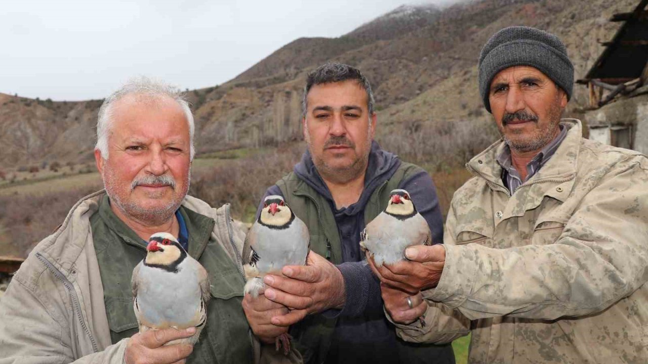 Atadan toruna kalan miras:  "Baskın keklik" yöntemiyle dev envanter
