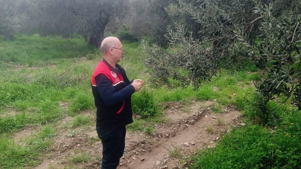 Zararlılara karşı tuzaklar kuruldu