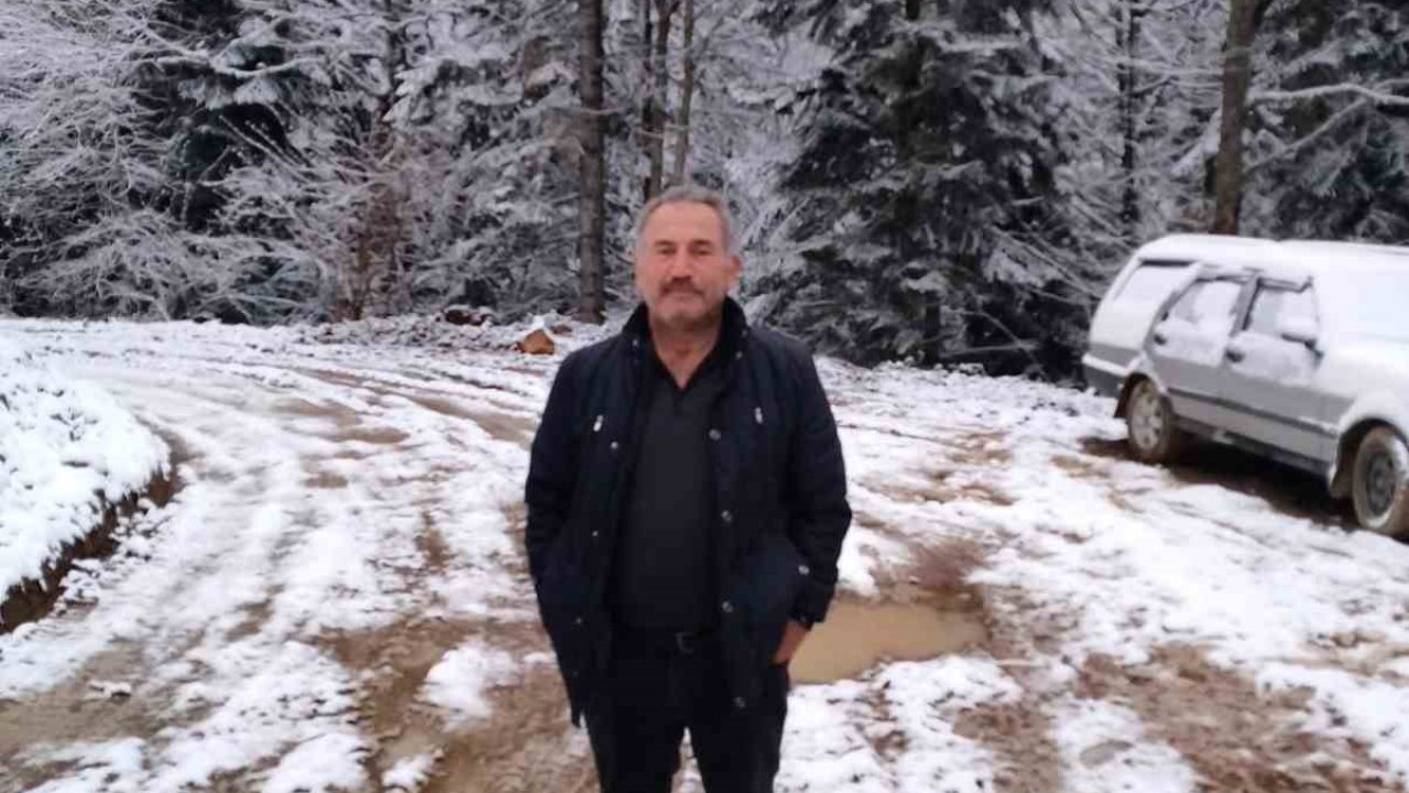 Devrilen ağacın altında kalan işçi hayatını kaybetti