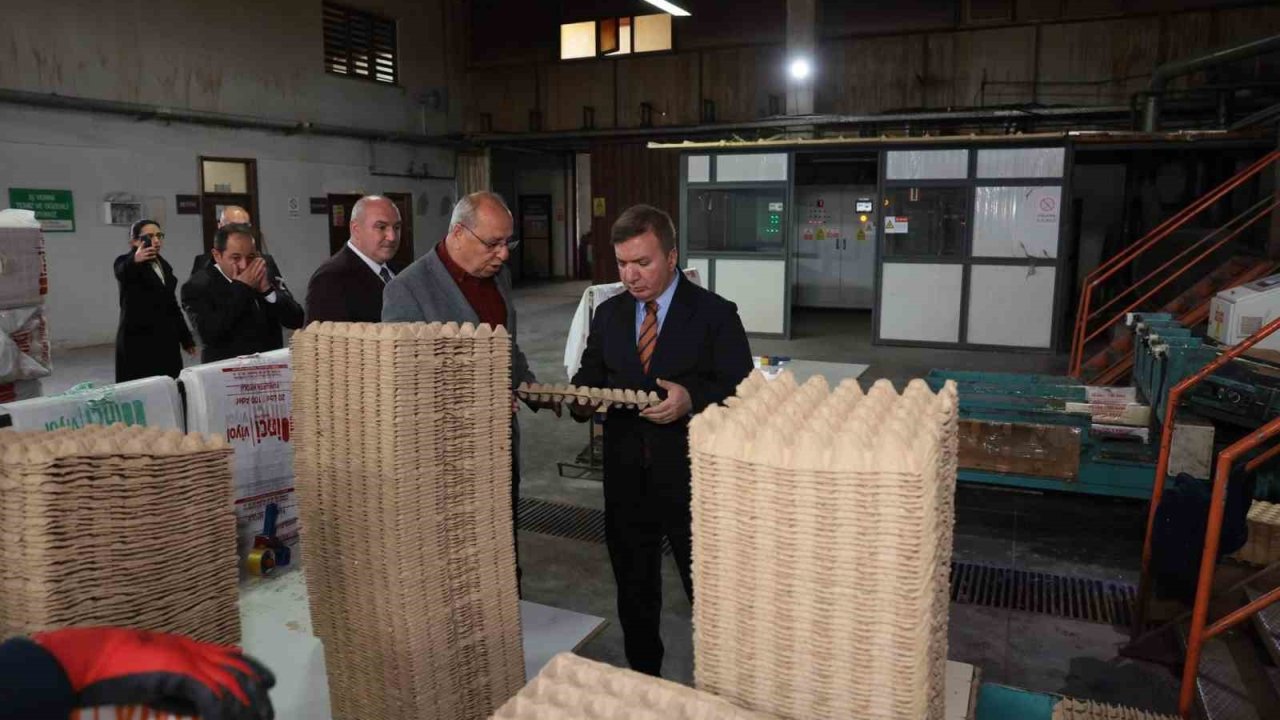 Erzincan’dan Türkiye’ye viyol üretimi