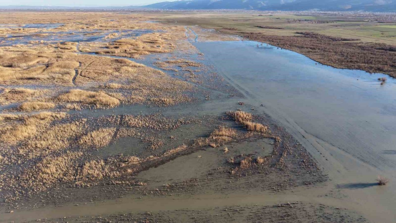 Akşehir Gölü’nde yıllardır görülmeyen oldu