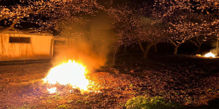 Kayısı bahçelerini ateş ve dumanla donmaya karşı koruyorlar