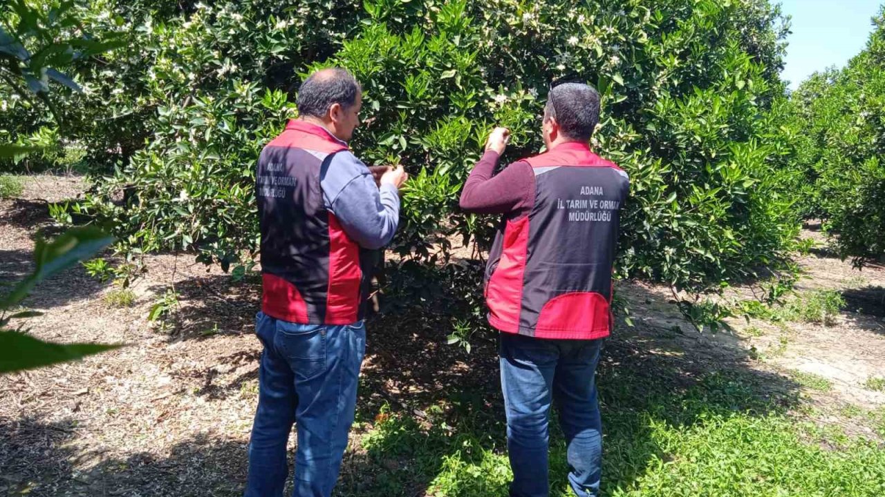 Tarımda biyolojik mücadele seferberliği