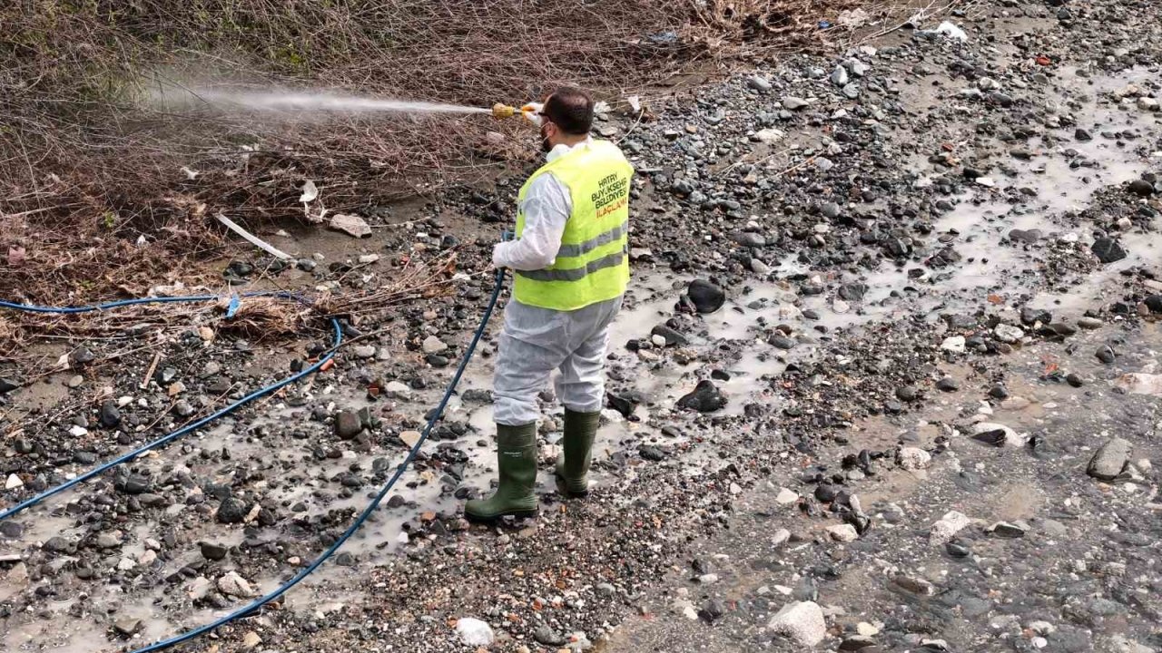 Hatay Büyükşehir Belediyesi haşereyle mücadele çalışmalarına devam ediyor