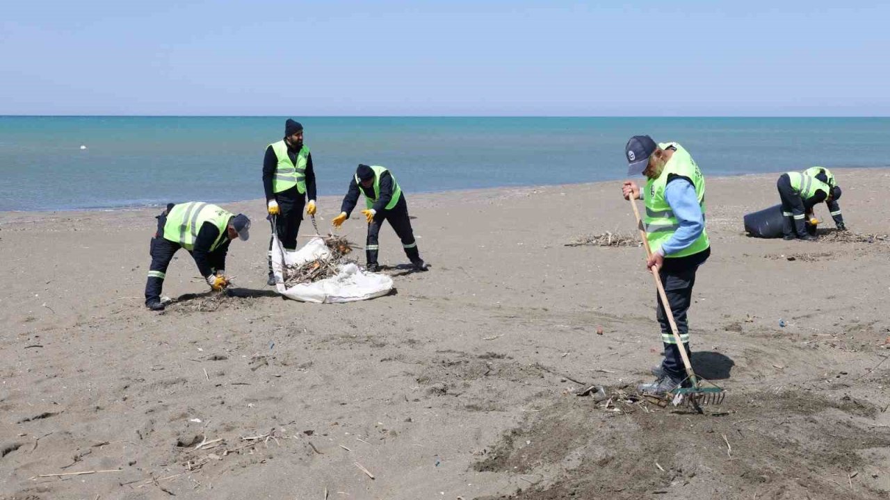 Hatay Büyükşehir Belediyesi, sahillerde temizlik çalışmasını yıl boyu sürdürüyor
