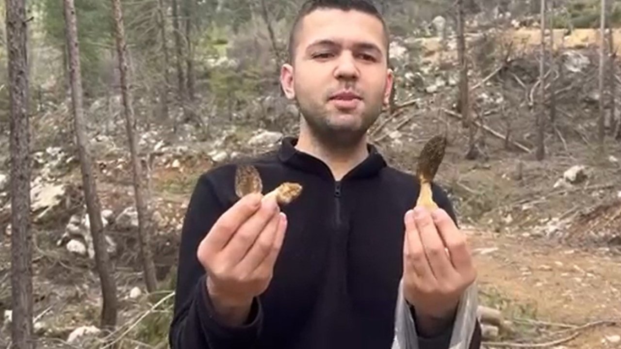 Feke’de kuzu göbeği bereketi