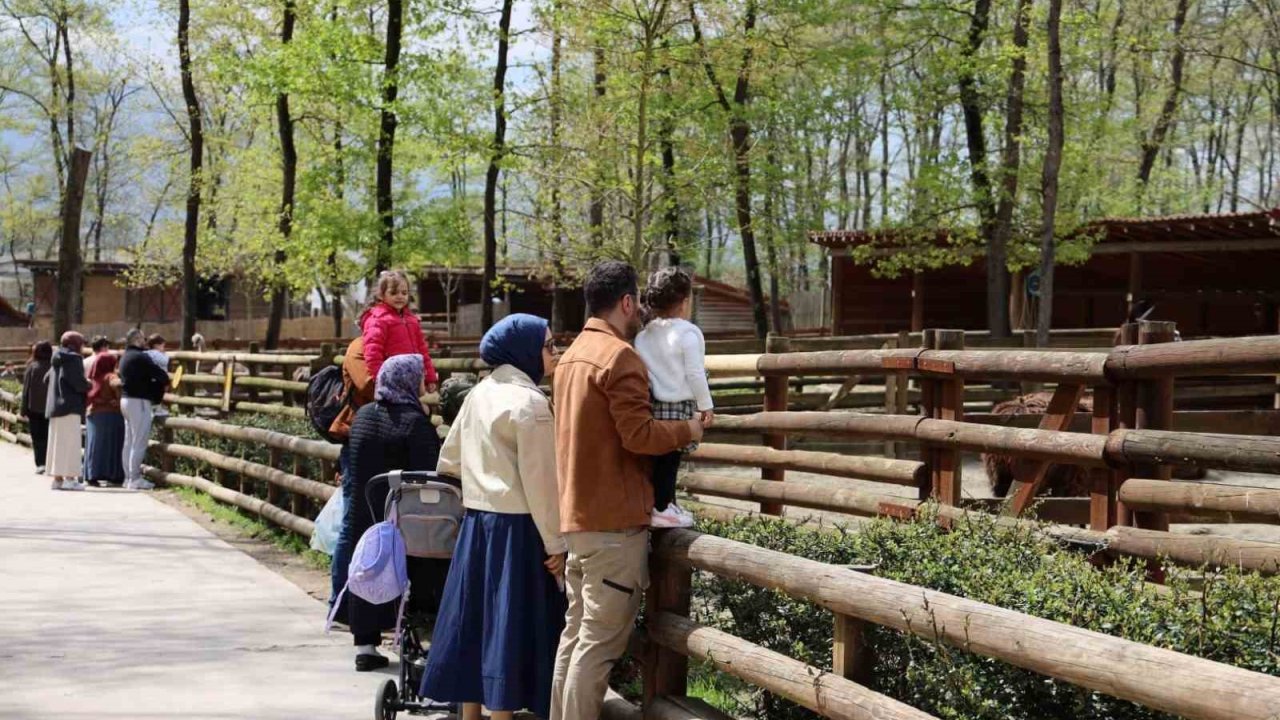 Doğaseverlerin uğrak noktası Ormanya bahara "merhaba" dedi