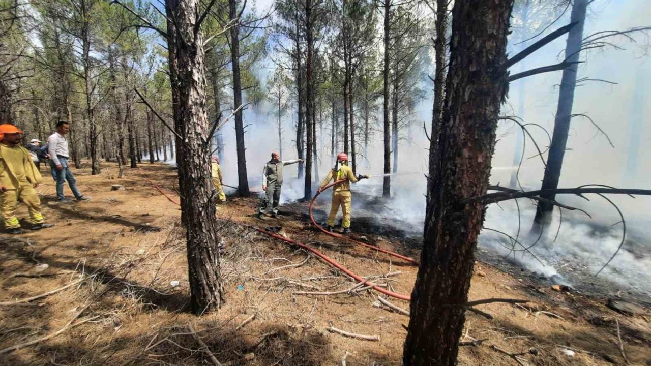 Mersin’de orman yangınlarına karşı tatbikat yapıldı