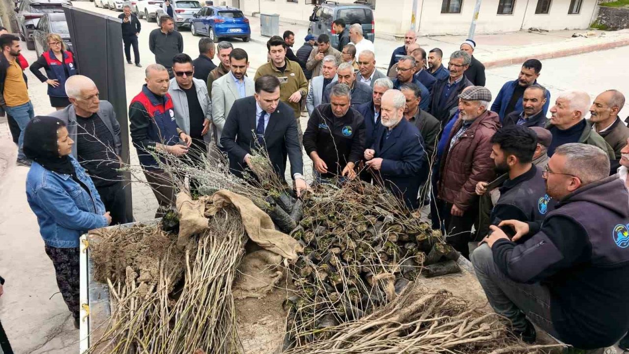 Çemişgezek’te vatandaşlara ücretsiz fidan dağıtıldı