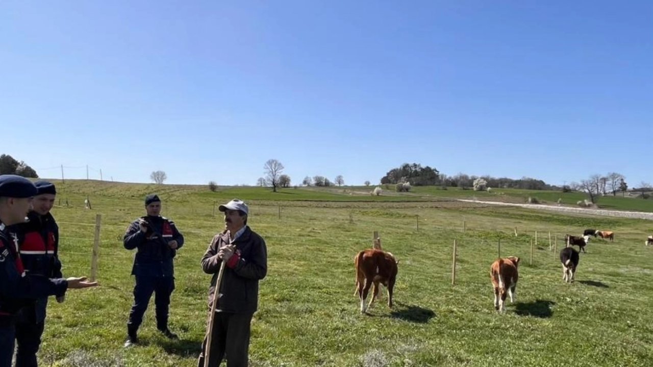 Bilecik’te hayvan hırsızlığı ve dolandırıcılık uyarısı