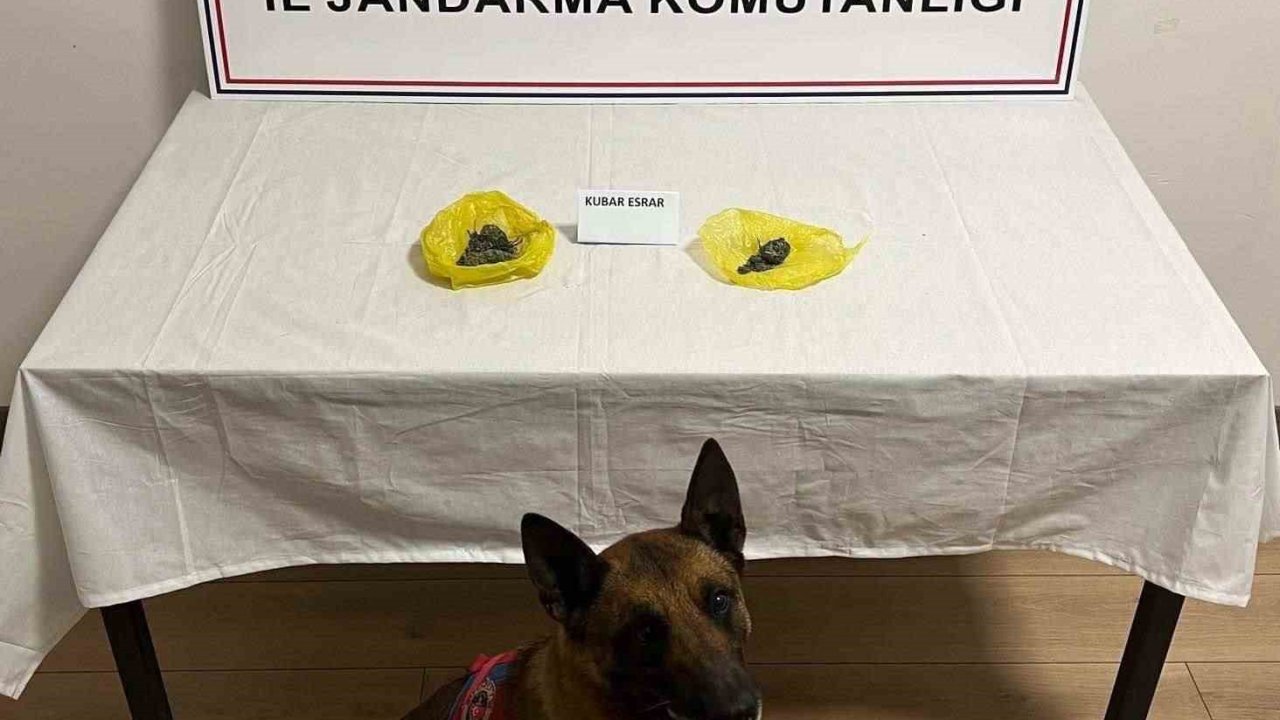 Yol kontrolünde uyuşturucu yakalandı