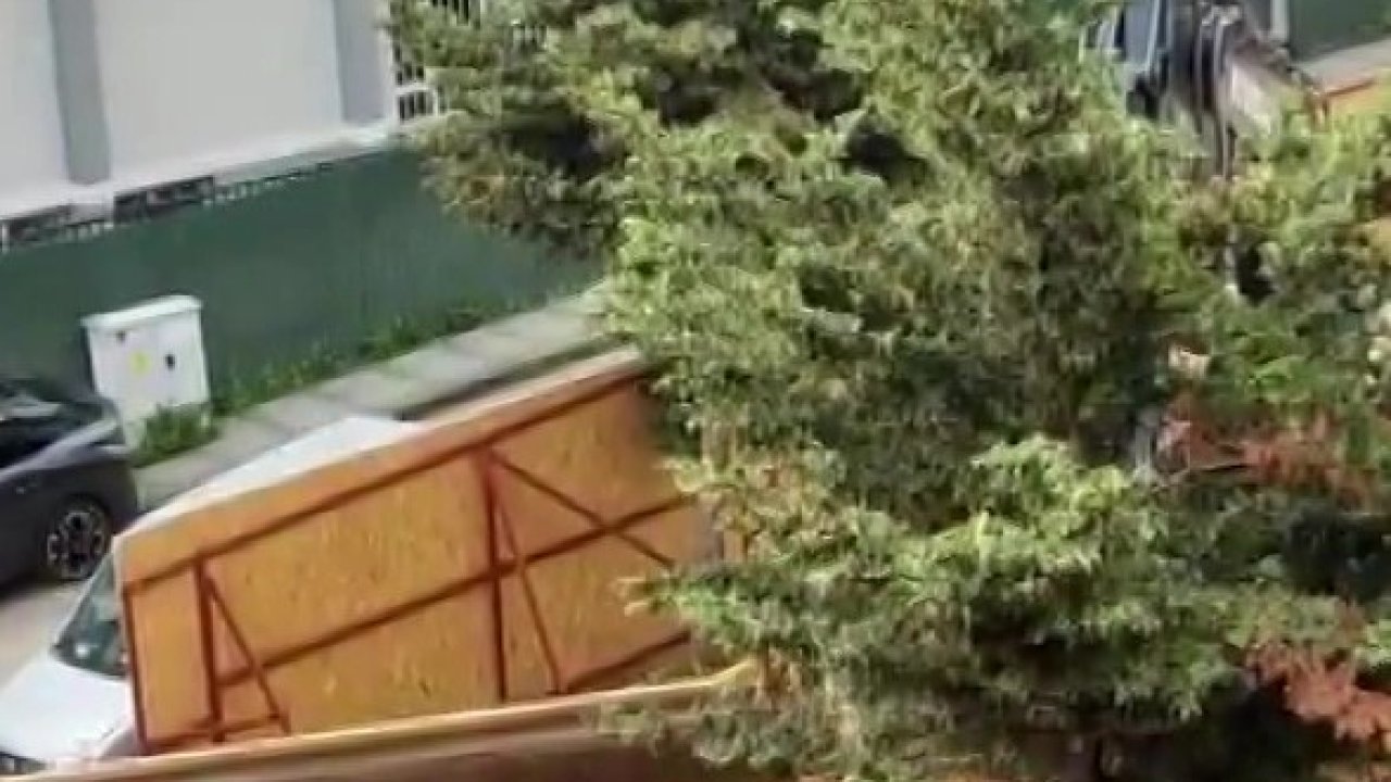 Üsküdar Belediyesi’nin ruhsat verdiği inşaat alanında ağaçlar kesildi