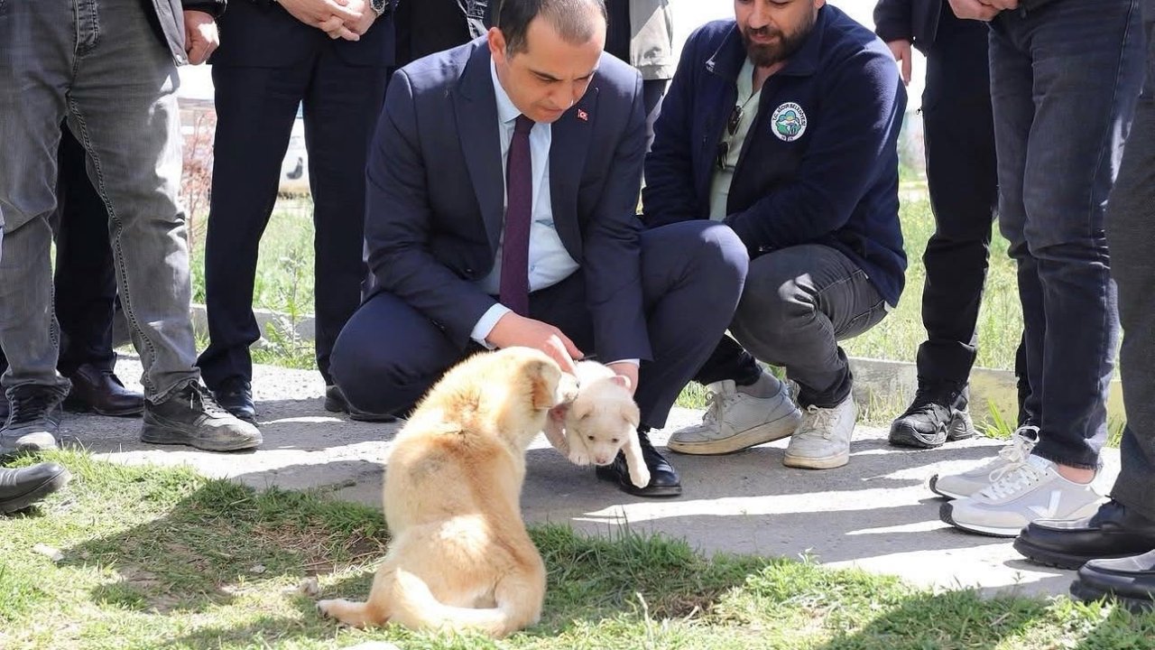 Vali Taşolar, Iğdır Geçici Hayvan Bakımevi’ni ziyaret etti