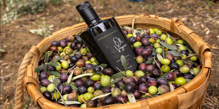 En İyi Zeytinyağı Hangisi? 2026 Yılı Kaliteli Zeytinyağı Seçim Rehberi