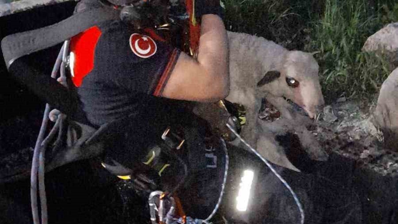 İzmir’de kuyuya düşen kuzuya itfaiyeden nefes kesen kurtarma